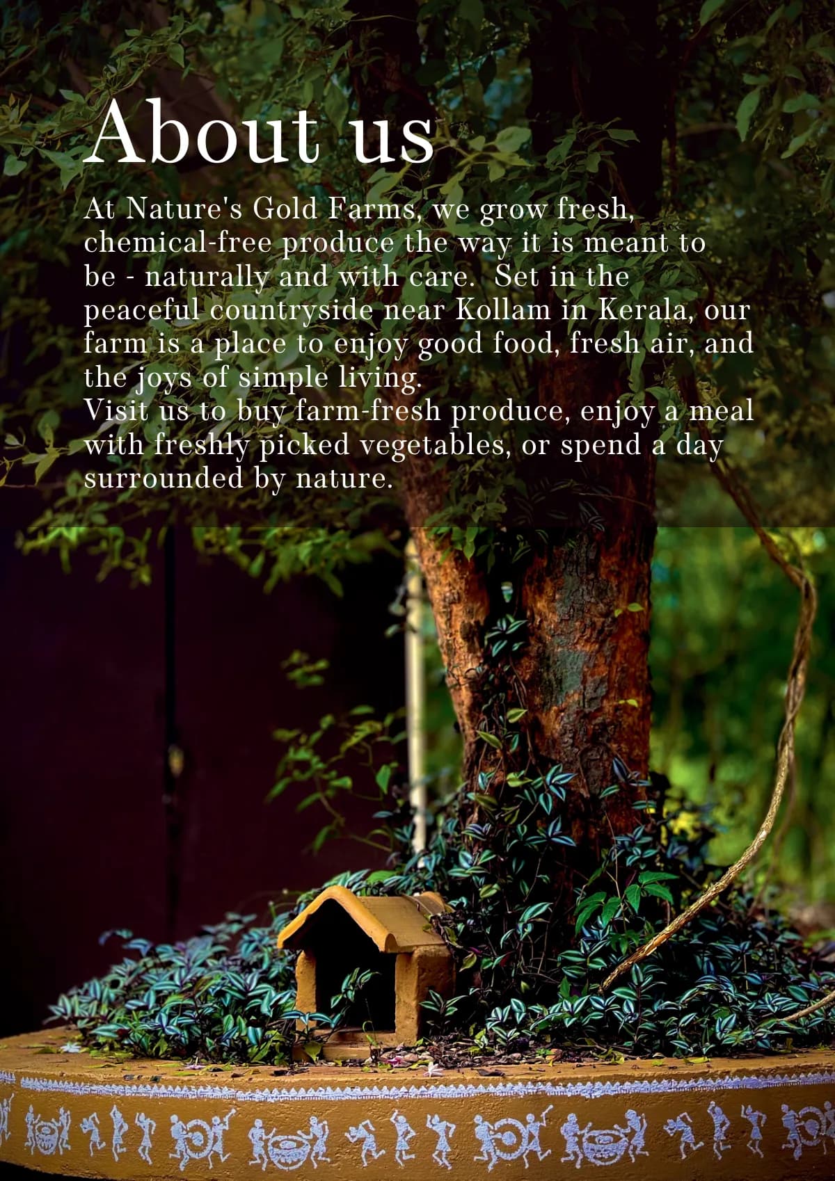 About us — a chemical-free farm near Kollam, Kerala