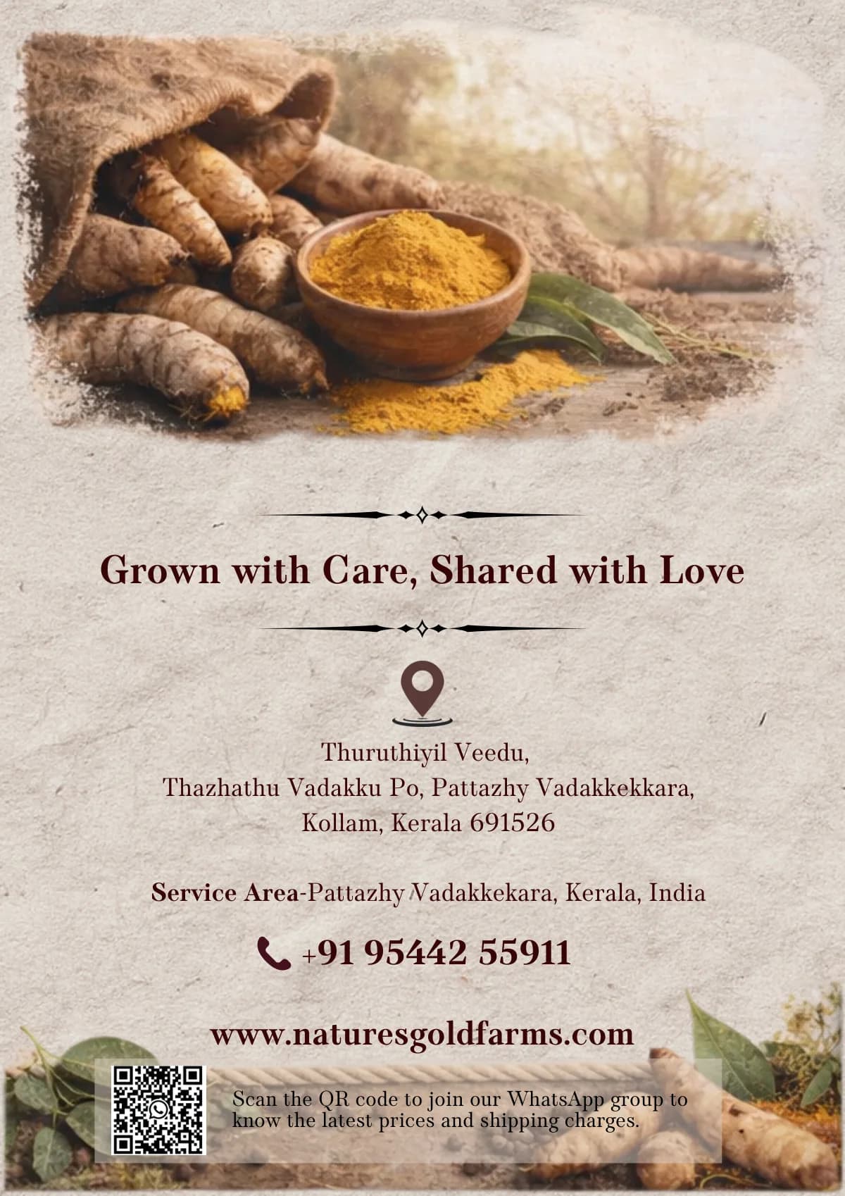 Visit us — address, phone and WhatsApp