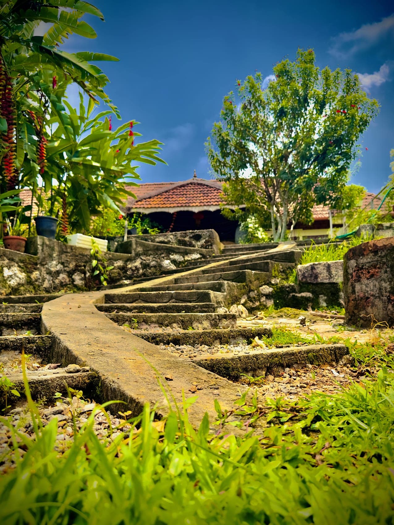 Garden paths