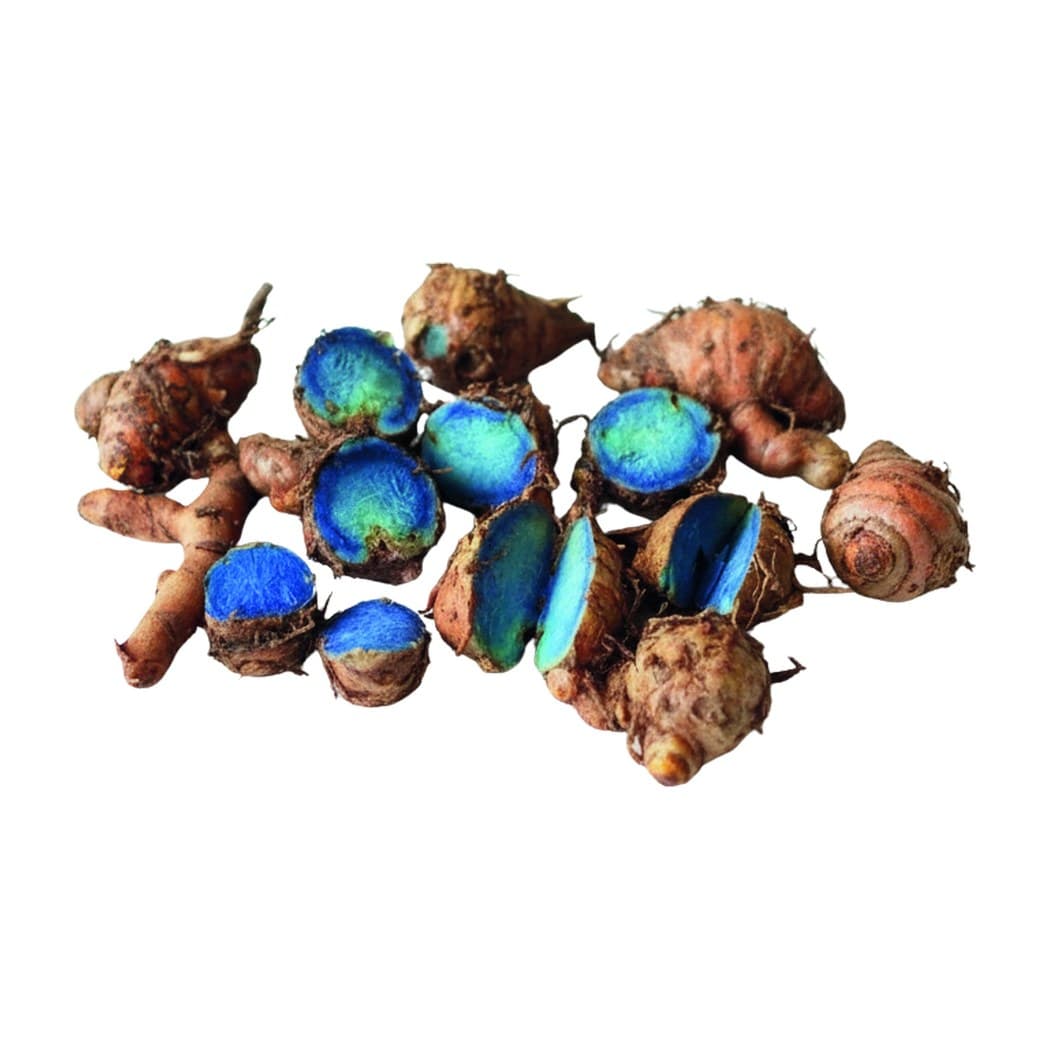 Black Turmeric
